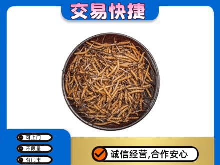 从化区礼品回收虫草.jpg