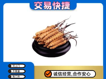 从化区礼品回收散虫草.jpg